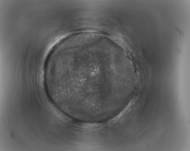 X0000114210342200911061450