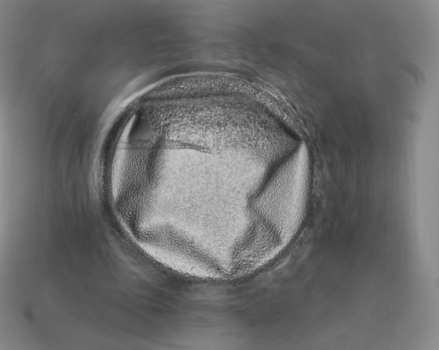 X0000114210343200911061450