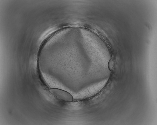 X0000114210344200911061450
