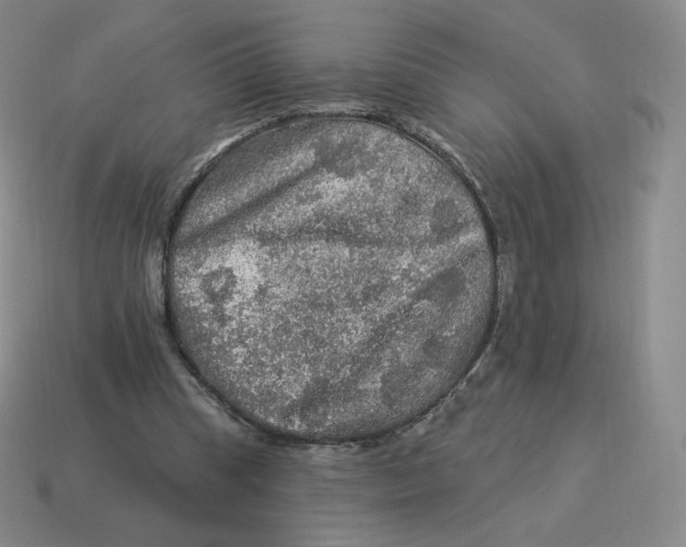 X0000114210345200911061450