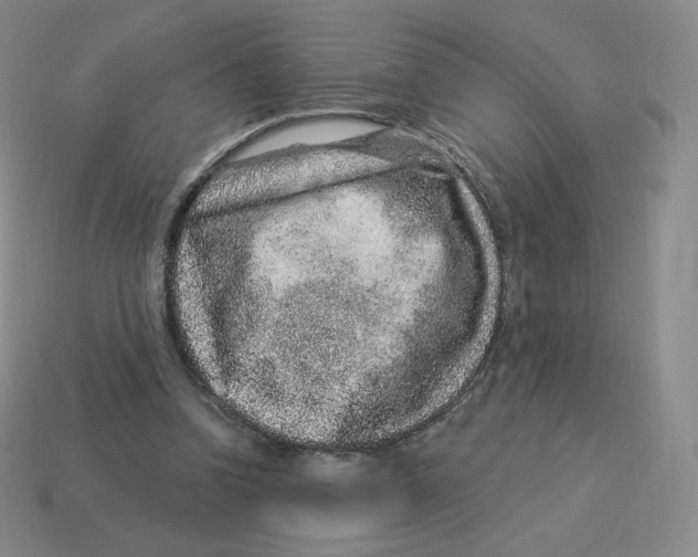 X0000114210346200911061450