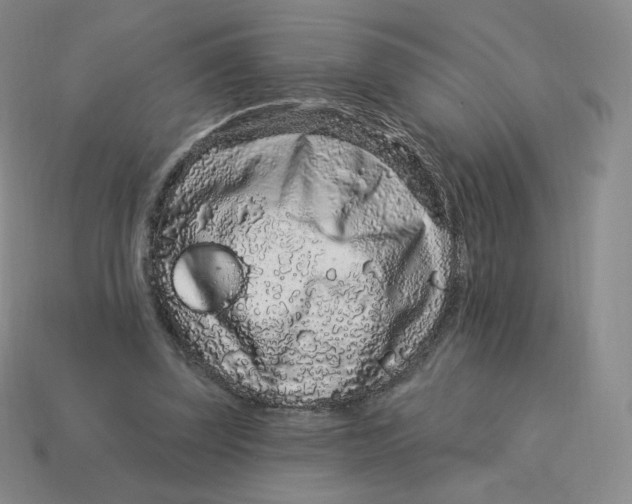 X0000114210347200911061450