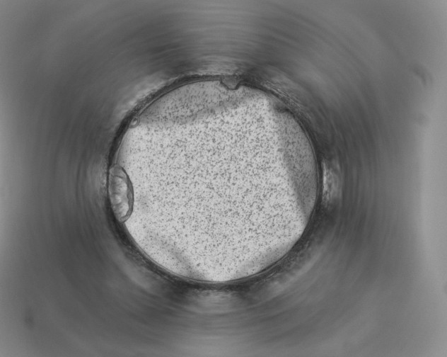 X0000114210348200911061450