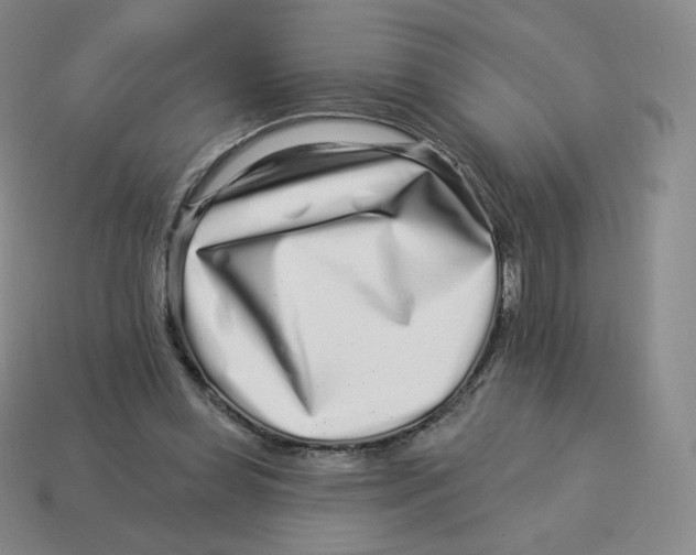 X0000114210349200911061450