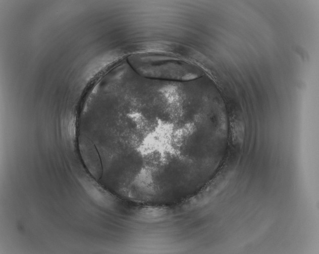X0000114210350200911061450