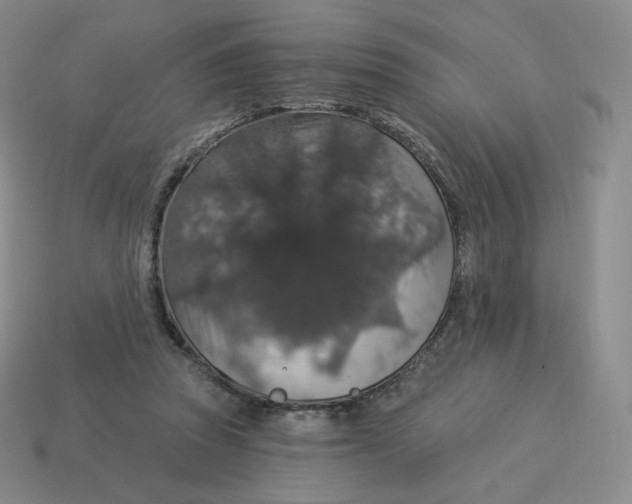 X0000114210353200911061450