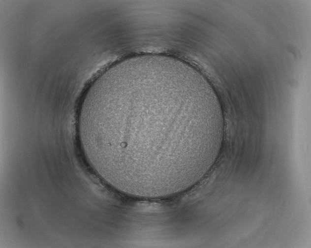 X0000114210354200911061450