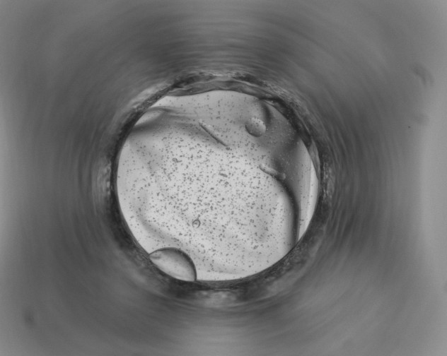 X0000114210356200911061450