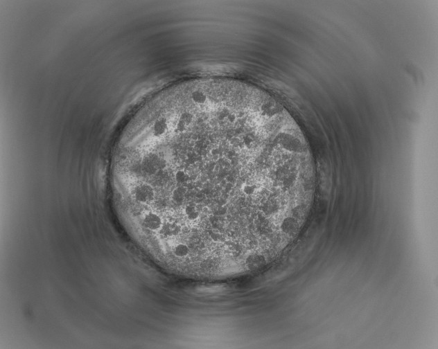 X0000114210357200911061450