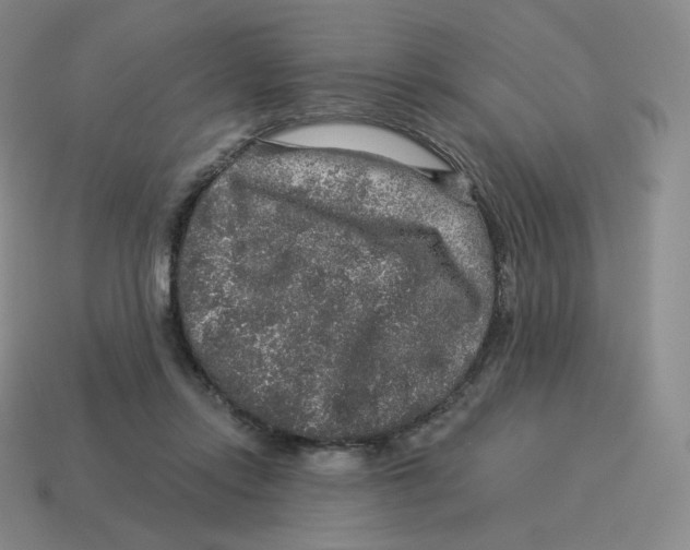 X0000114210358200911061450