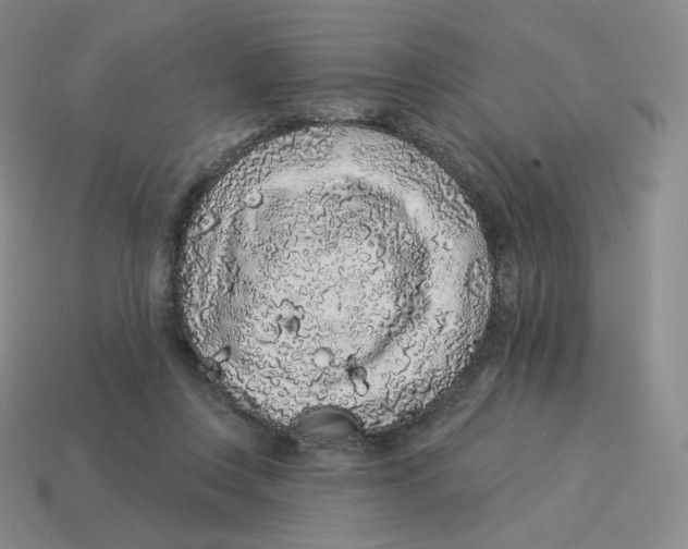 X0000114210359200911061450