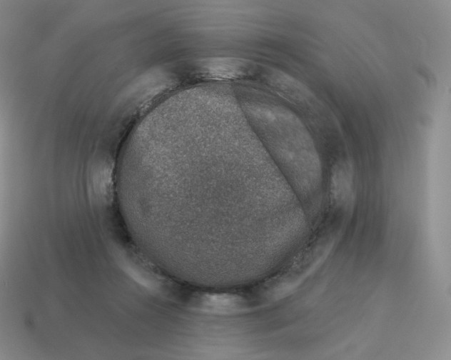 X0000114210360200911061450
