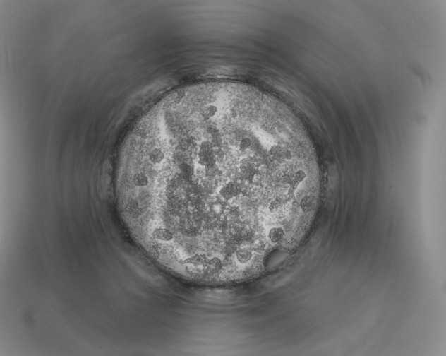 X0000114210361200911061450