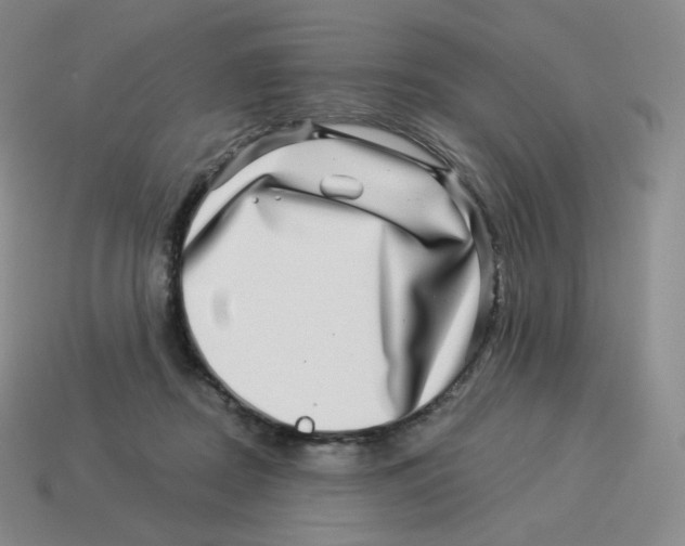 X0000114210362200911061450