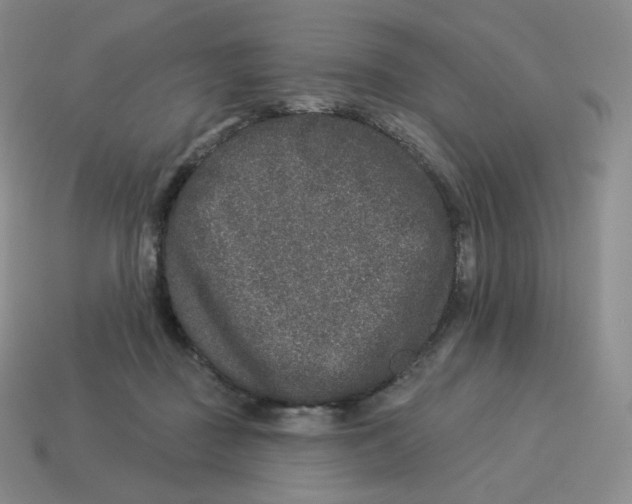 X0000114210363200911061450