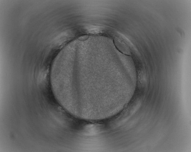 X0000114210364200911061450