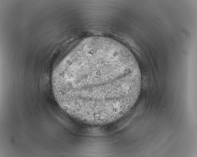 X0000114210365200911061450