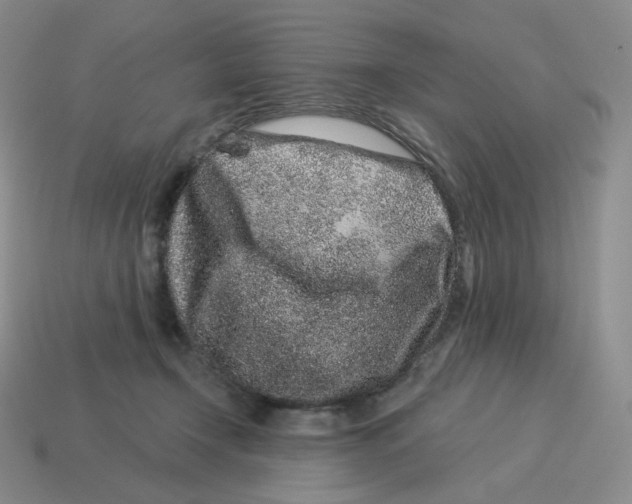 X0000114210366200911061450