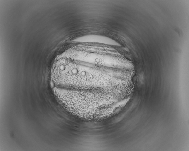 X0000114210367200911061450