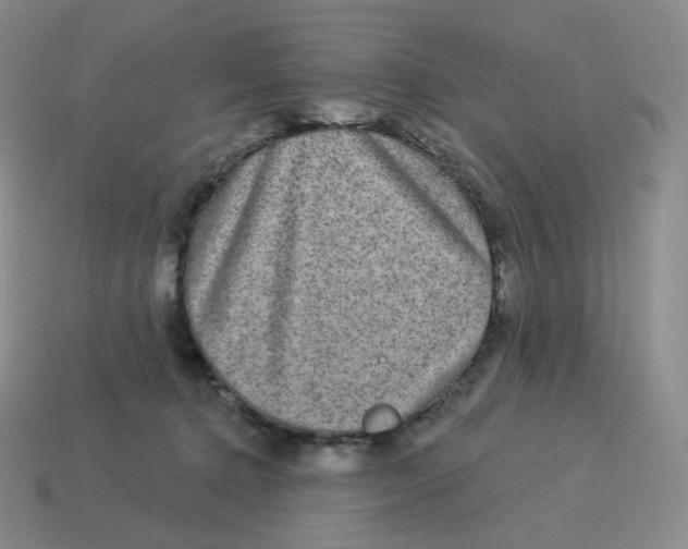 X0000114210368200911061450