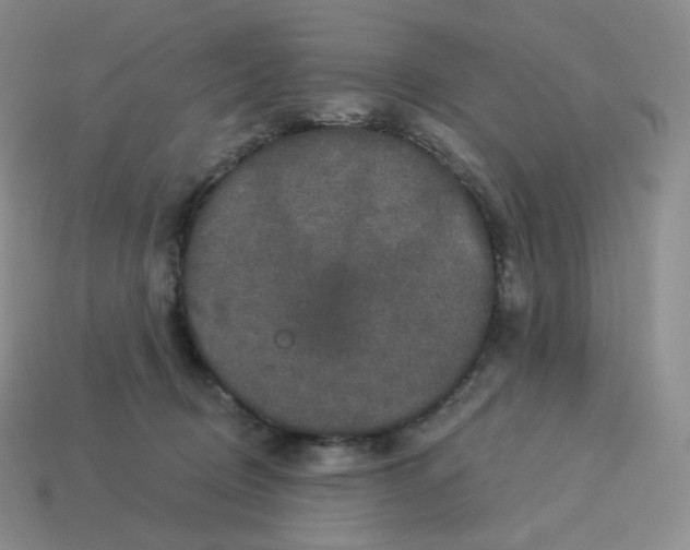 X0000114210370200911061450
