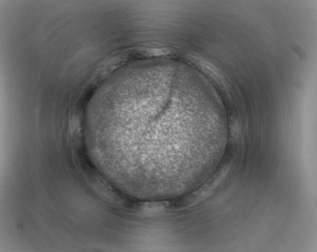 X0000114210373200911061451