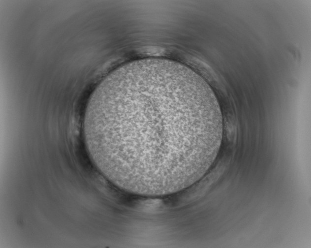 X0000114210374200911061451