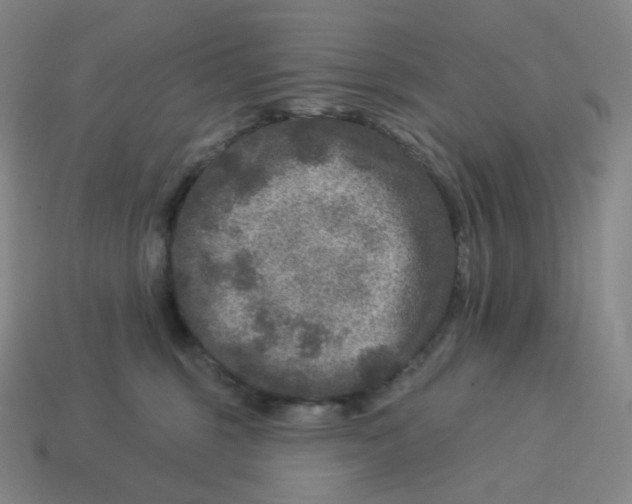X0000114210375200911061451