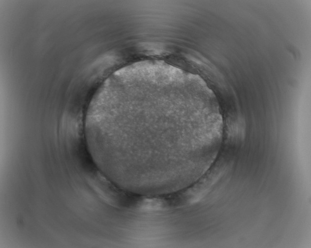 X0000114210376200911061451