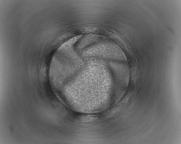X0000114210378200911061451