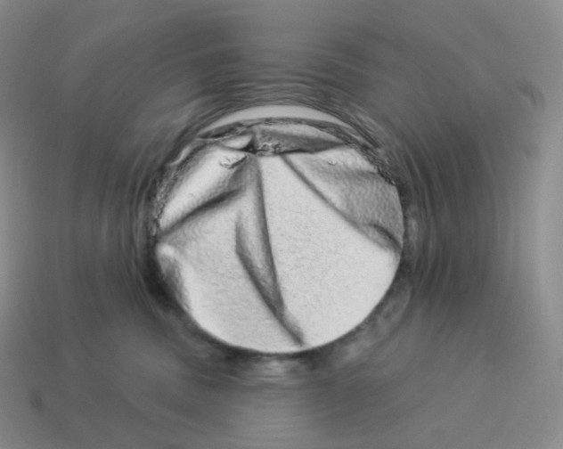 X0000114210379200911061451