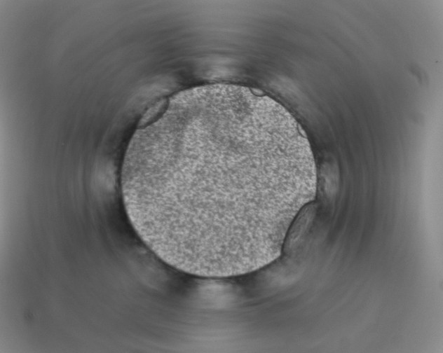 X0000114210380200911061451