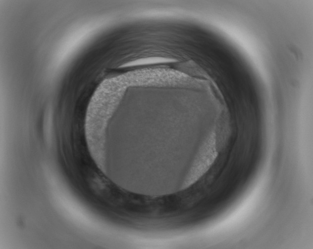 X0000114210382200911061451