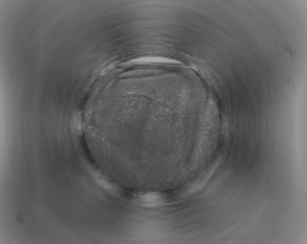 X0000114210383200911061451
