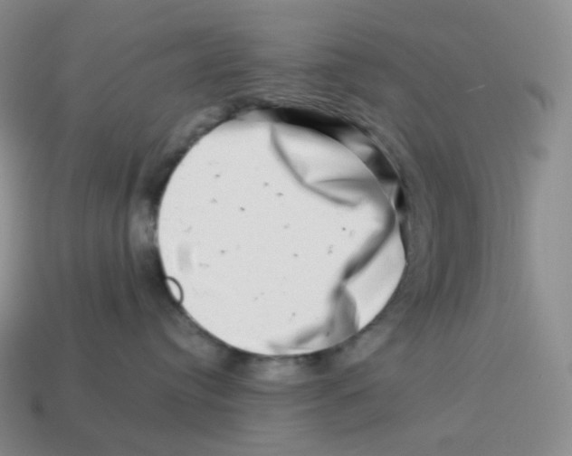 X0000114210384200911061451