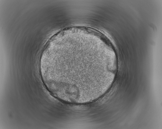 X0000114210385200911061450