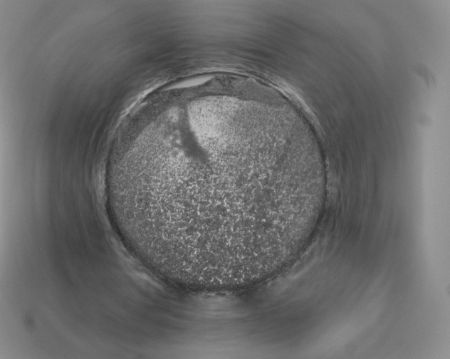 X0000114210386200911061450