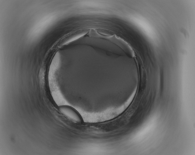X0000114210387200911061450