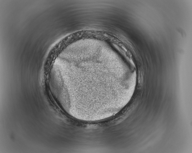 X0000114210388200911061450