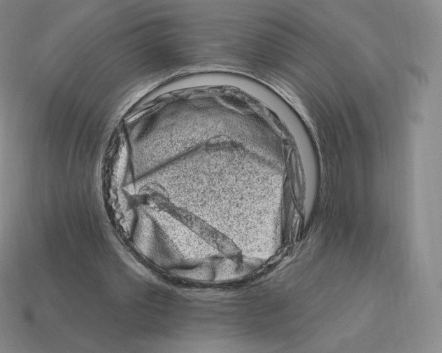 X0000114210389200911061450