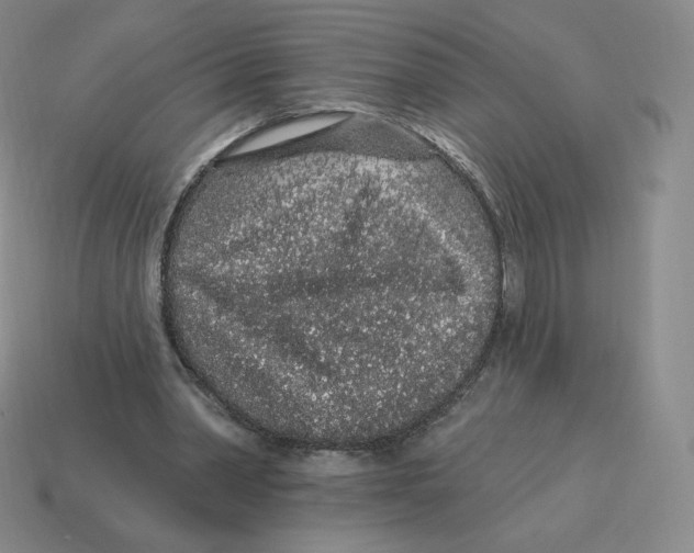 X0000114210390200911061450