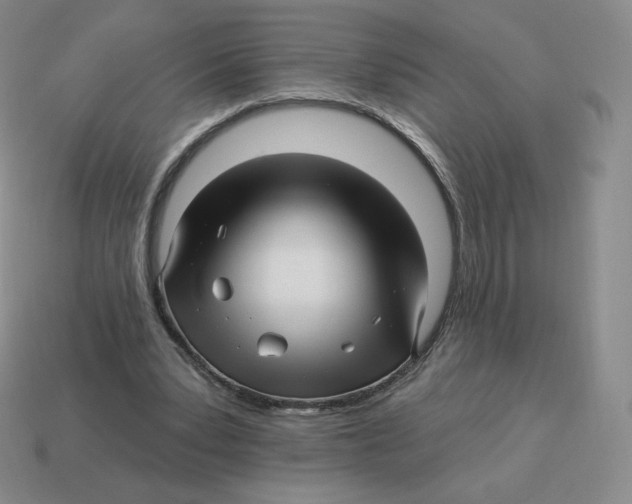 X0000114210391200911061450