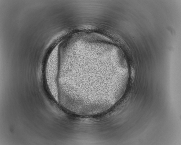 X0000114210396200911061450