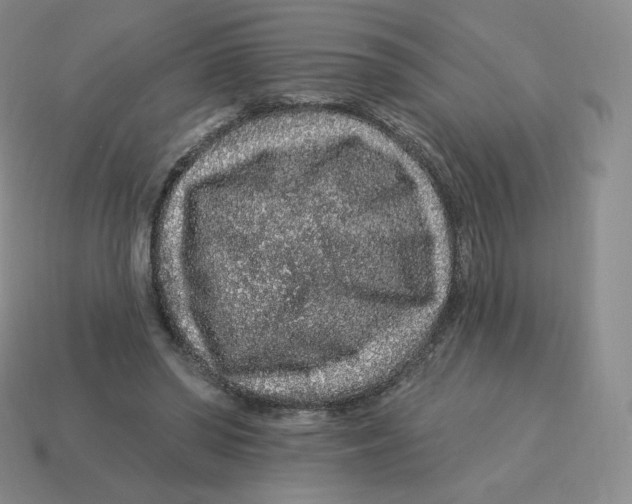 X0000114210398200911061450