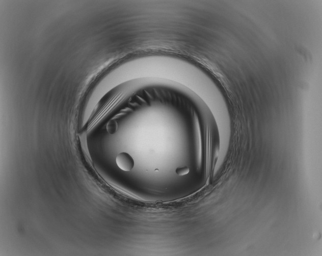 X0000114210399200911061450
