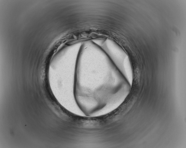 X0000114210400200911061450
