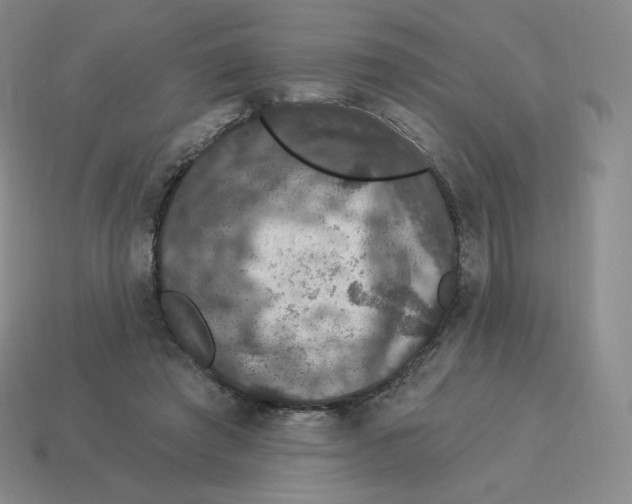 X0000114210401200911061450