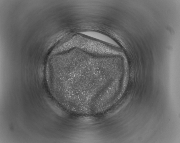 X0000114210402200911061450
