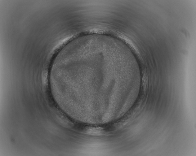 X0000114210403200911061450