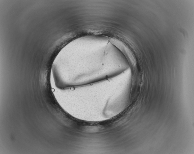 X0000114210404200911061450